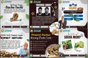 jasa-social-media-management